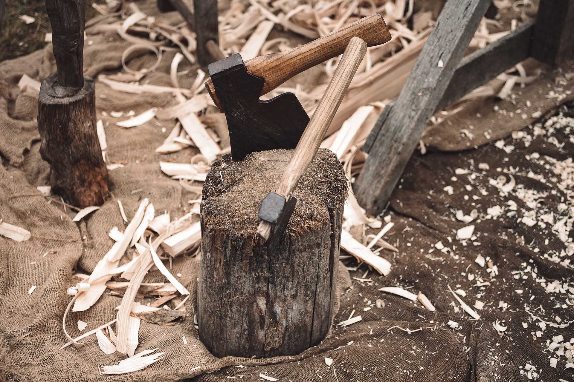 Lignatec verbindet die traditionelle Holzverarbeitung mit modernen Anlagenbau